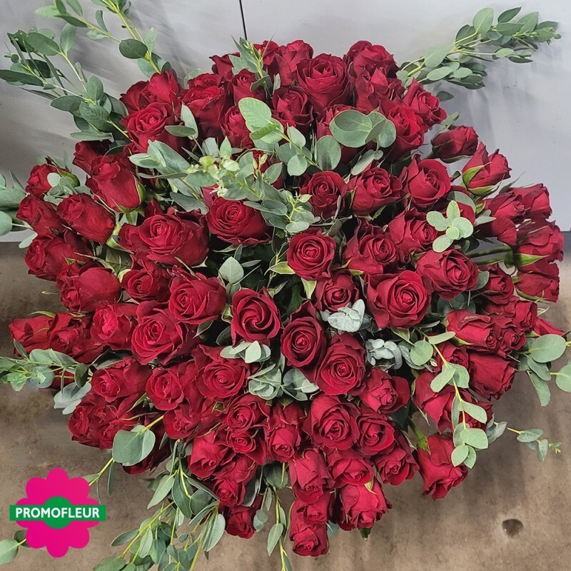 Bouquet de roses rouges