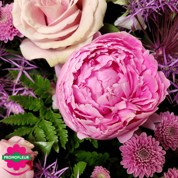 Ton Violet Rose Pastel 2