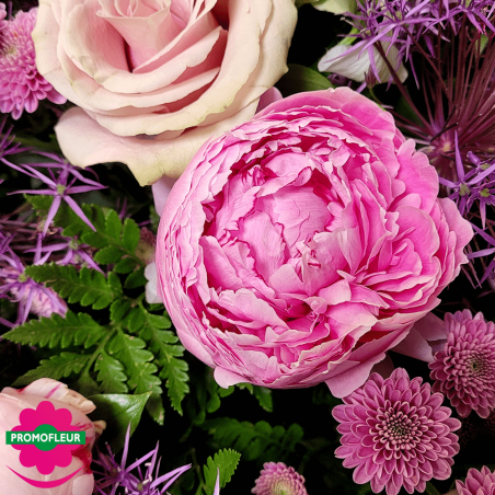 Ton Violet Rose Pastel