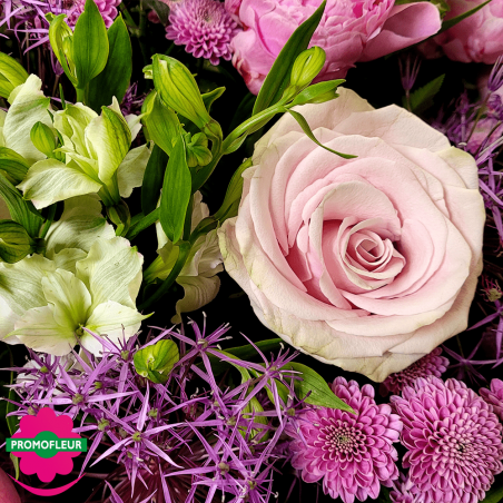 Ton Violet Rose Pastel