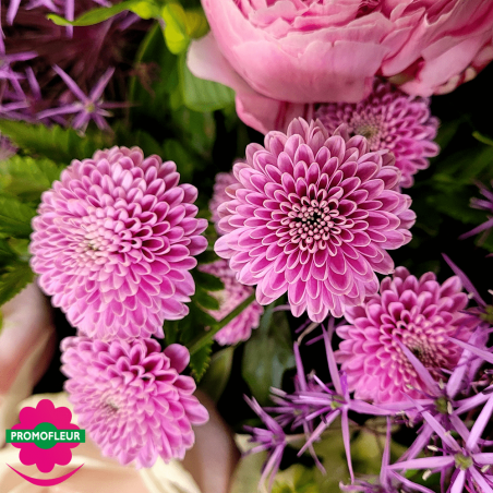 Ton Violet Rose Pastel