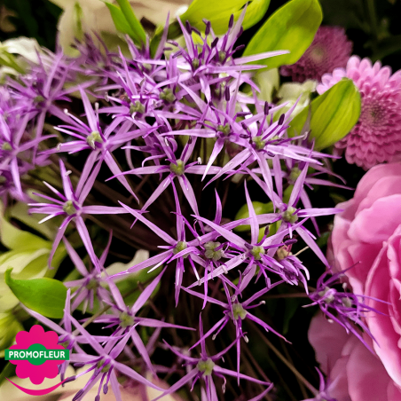 Ton Violet Rose Pastel