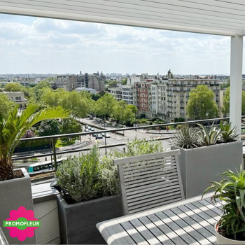 Aménagement de terrasse extérieure Style 'Méditerranéen' (Palmiers, Oliviers, Plantes méditerranéennes…) 2