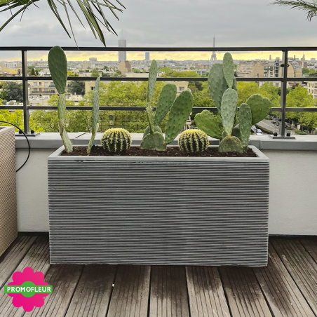 Aménagement de terrasse extérieure Style 'Méditerranéen' (Palmiers, Oliviers, Plantes méditerranéennes…)