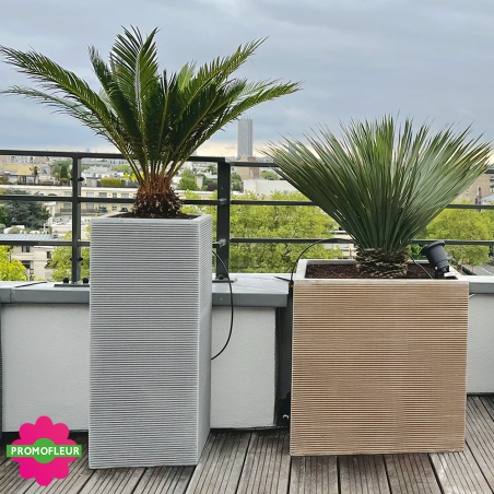 Aménagement de terrasse extérieure Style 'Méditerranéen' (Palmiers, Oliviers, Plantes méditerranéennes…)