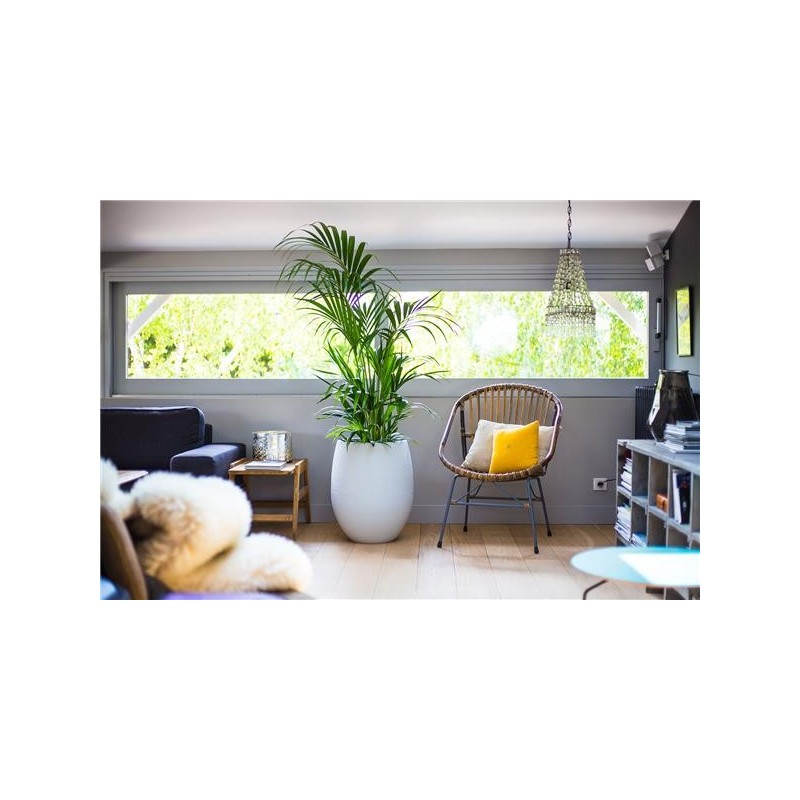 Pot EGG "GRAPHIT" Ø50 cm - h. 60 cm - 53 L - Blanc cérusé (intérieur)