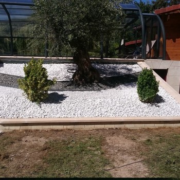 Oliviers, Fusains et Lions en pierre sur lit de cailloux blancs 2