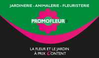 Promofleur