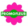 Promofleur